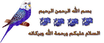 صورة