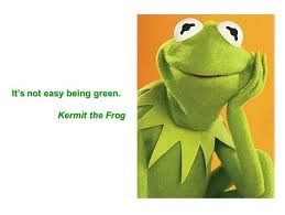 We did not find results for: Quotes About Frog 161 Quotes