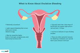 ovulation bleeding causes signs and