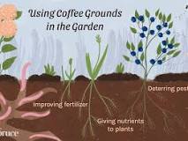 What potted plants like coffee grounds?