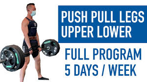 push pull legs upper lower split full
