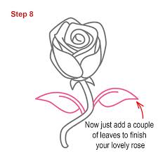 Make your kids learn how to draw a rose step by step. How To Draw A Rose Picture Step By Step