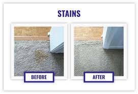 carpet cleaning in minneapolis