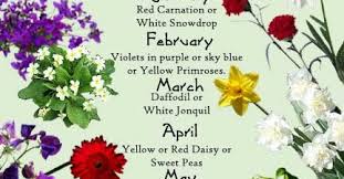 Gift Ideas For Family Birth Month Flowers Chart