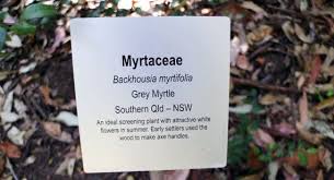 What Plant Names Can Tell Us Australian