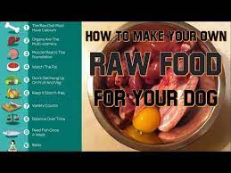 raw food t for your dog