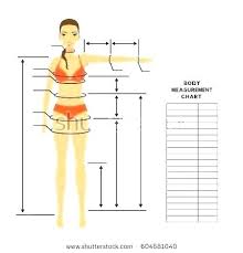 39 Extraordinary Body Measurement Chart Sewing