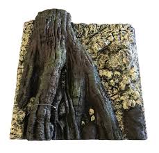 Tree Root In Rock Wall 58 5x58 5cm