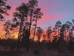Ideally situated right near beautiful watson lake, the point of rocks rv campground has everything you need if you like to be close to the city but just far enough out to have amazing scenery and peace and quiet. Prescott National Forest Camping Rules Boondocker S Bible