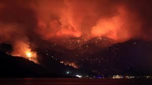 Ciğerimiz yanıyor: Marmaris'te orman yangını | TR