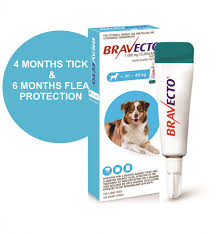 Bravecto Spot On Large Dog 20 40kg Tick Flea Treatment