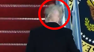 Image result for president trump hair
