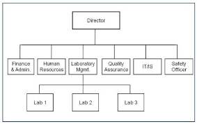 Organizational Chart Of A Hospital Laboratory Www