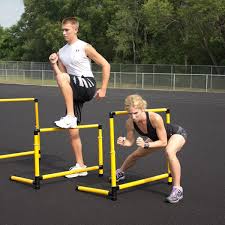 smart hurdles prism fitness