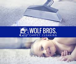 wolf brothers carpet cleaning 39w836