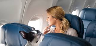 dog fiasco on delta air lines flight