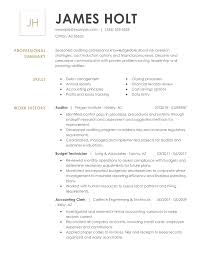 Take a look at this external auditor cv template for some hints and handy tips for making your own curriculum vitae a true testament to your qualifications. 1 Auditor Resume Templates Try Them Now Myperfectresume