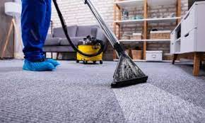 spring carpet cleaning pros