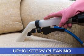 clearwater carpet upholstery cleaning