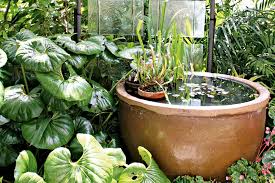 Incorporate your backyard garden with a nook 5 • 704 тыс. How To Plan A Tropical Garden Australian Handyman Magazine