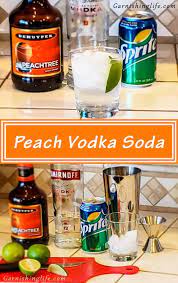 peach vodka soda garnishing life