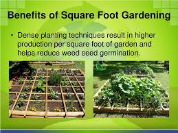 ppt square foot gardening powerpoint