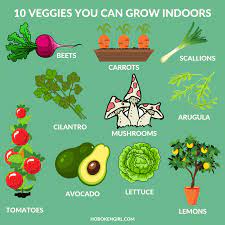 10 vegetables you can grow indoors