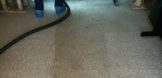 carpet cleaning brighton high tech