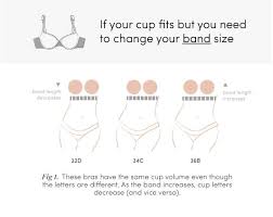 What Bra Size Is Equal To 34b