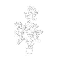 Rose Flower Coloring Page Line Sketch