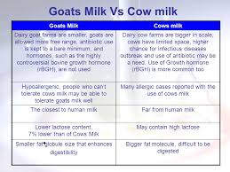 Goats Milk More Nutritious Than Cows Milk Easier To