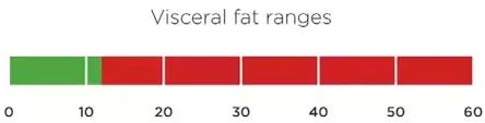 How Much Vfa Visceral Fat Is Normal For A Healthy Body