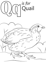 How do you chose colour for your quilt when you've found a pattern that you love but not in the colours you like. Letter Q Is For Quilt Coloring Page Free Coloring Library