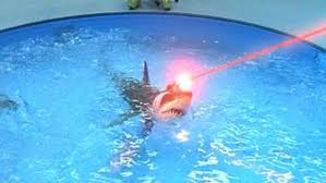 sharks with frickin laser beams