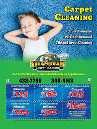 carpet cleaning steam team