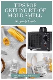 Get Rid Of The Mold Smell