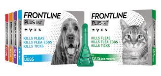 frontline plus for cats kill ticks