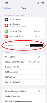 how to check your phone number on iphone