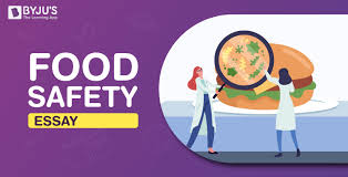 food safety essay essay on food