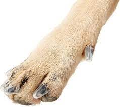 purrdy paws soft dog nail caps 20