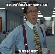 Funny memes If people could stop saying &#39;bae&#39;, that&#39;d be great ... via Relatably.com