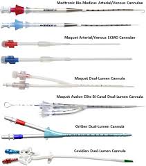 Cannula An Overview Sciencedirect Topics