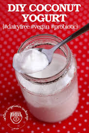 coconut yogurt probiotic dairy free