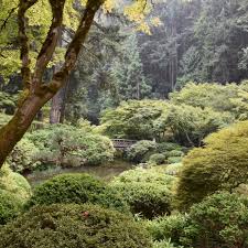 10 Best Botanical Gardens In The U S