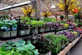 Find garden centers and nurseries near you enter city / state or zip code below. The Top 10 Garden Centres In Toronto