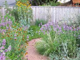 These Texas Native Plants Will Make