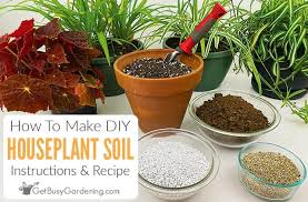 Potting Soil For Indoor Plants