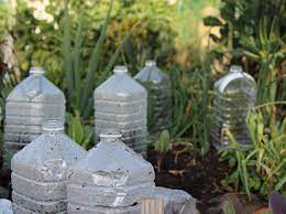 Diy Bottle Greenhouse Success Tips