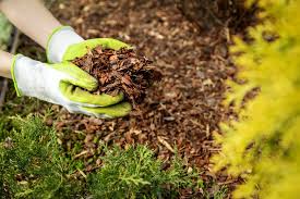 Mulches Decompose And Improve The Soil