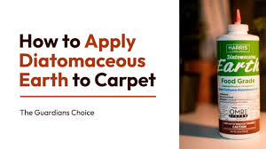apply diatomaceous earth to carpet
